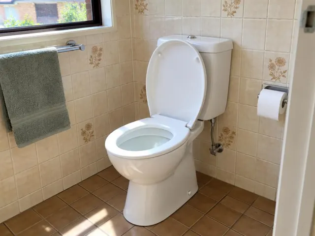 White toilet in a tiled bathroom with towel rail and toilet roll holder in Greystanes